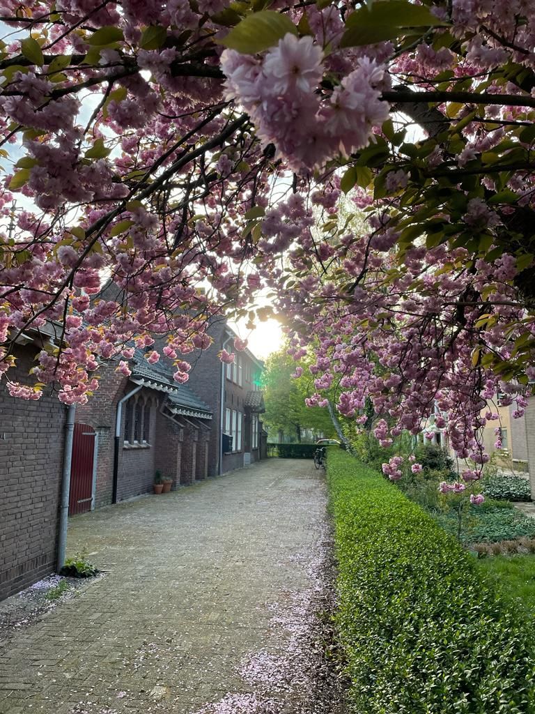 Mieszkanie — Breda