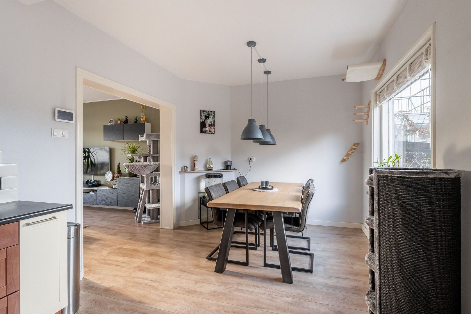 Emmastraat 46, Monster foto-11