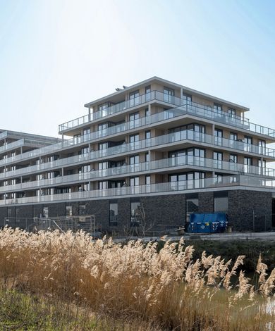 Korenwolf 25, 's-Gravenzande