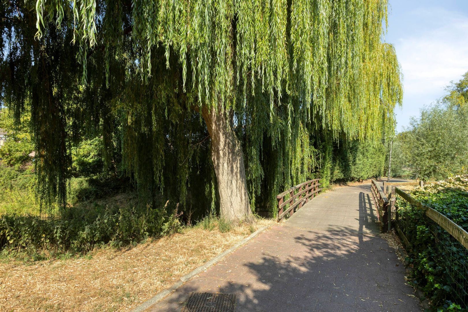 Vestdijklaan 26, 's-Gravenzande foto-22