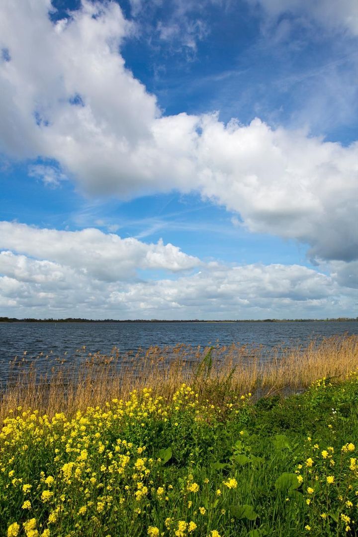Oud-Loosdrechtsedijk 58 image 1