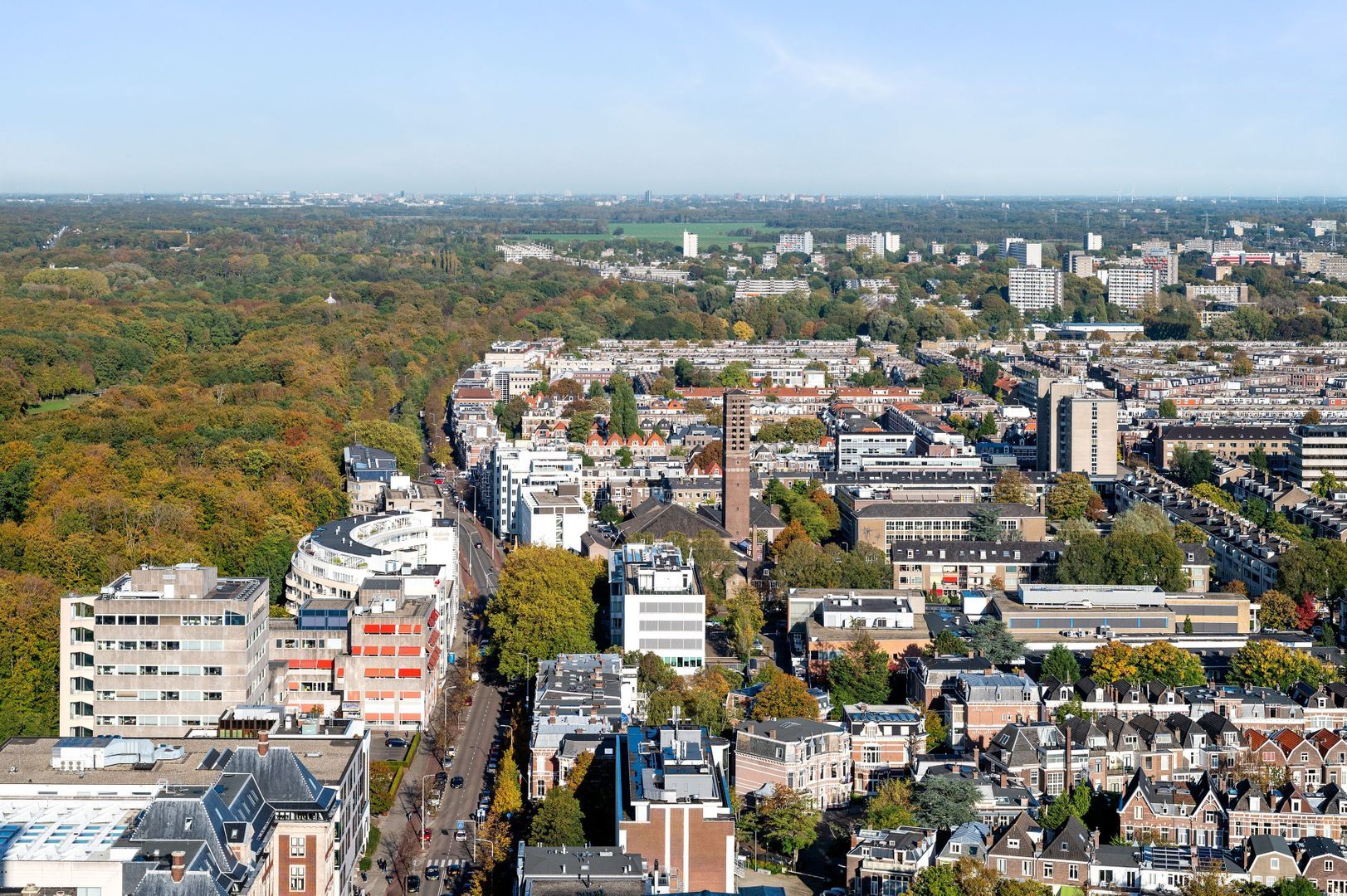 Bezuidenhoutseweg 65 146 image 1