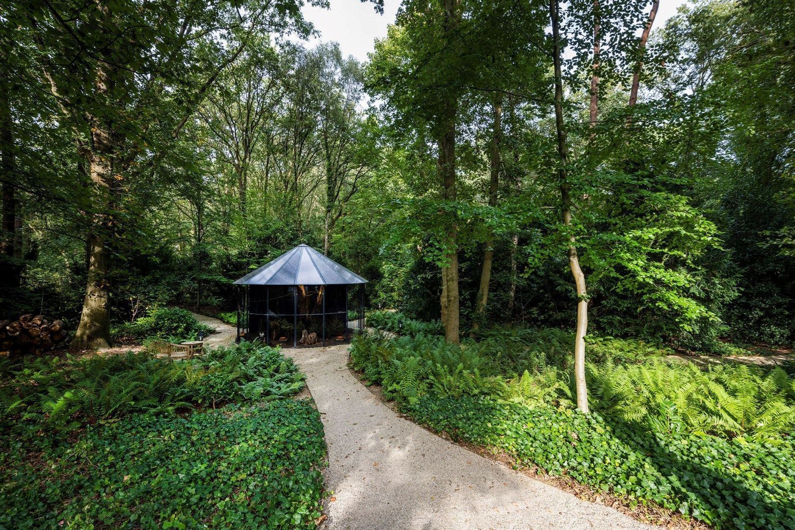 Steenbergen 2 a image 1