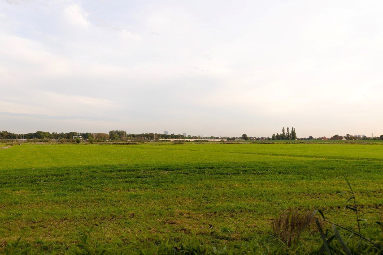 Rodenrijseweg 527 D image 1