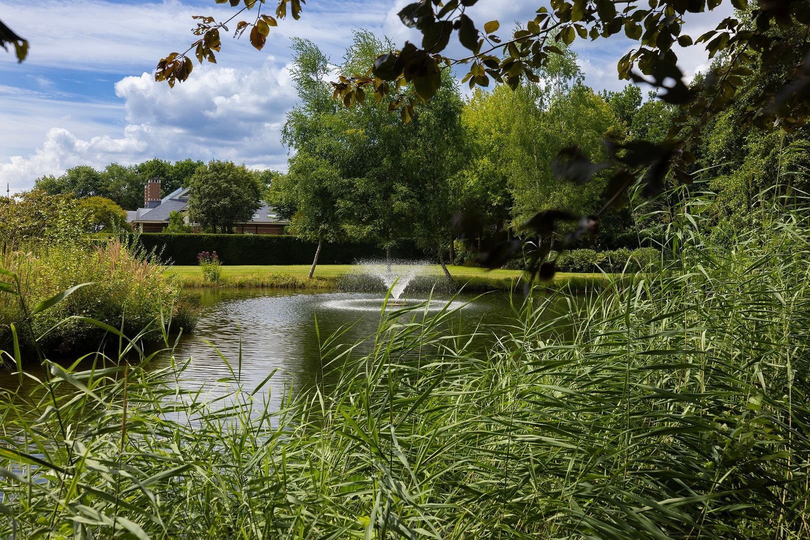 Berkenlaan 26 image 1