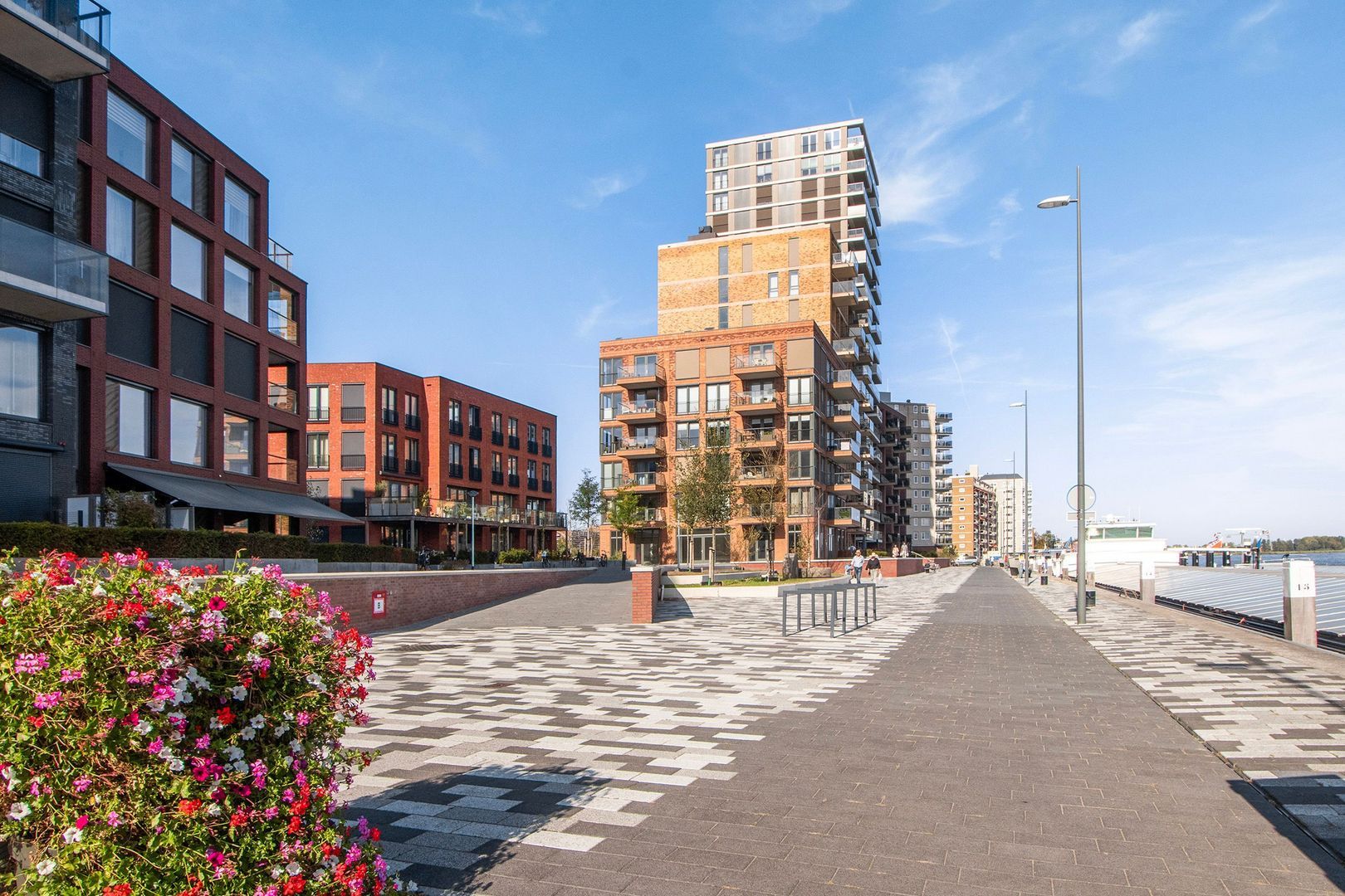 Euryzakade 516 image 1