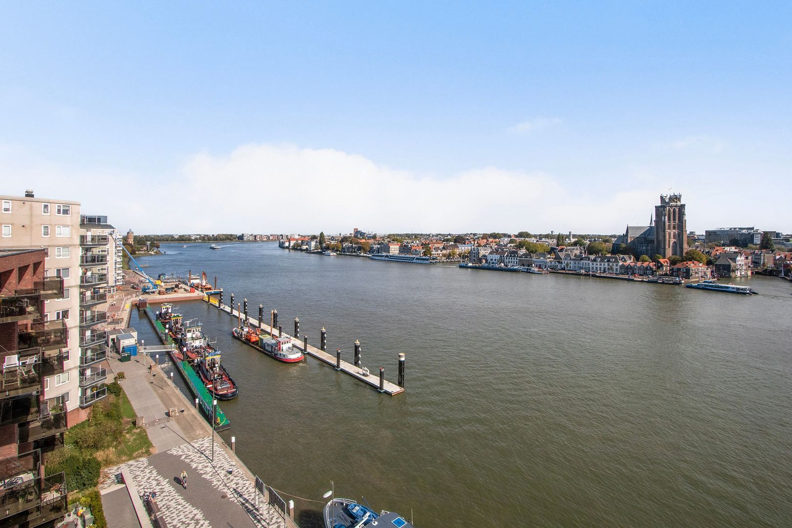 Euryzakade 516 image 1