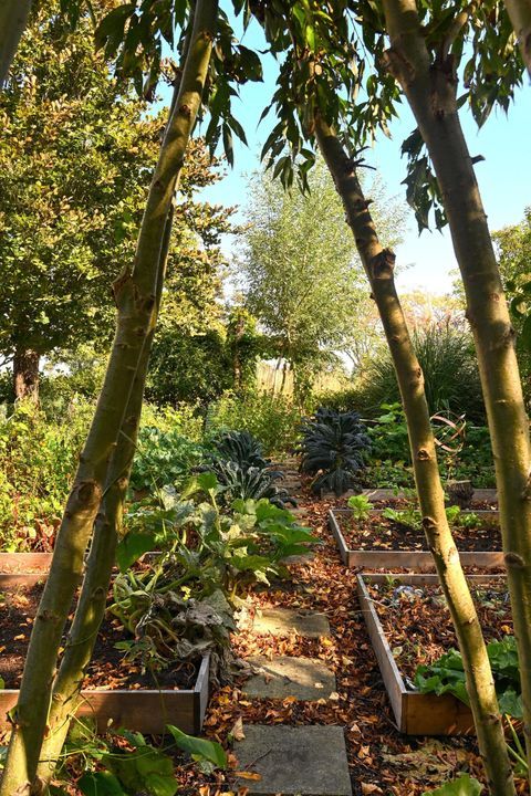 's-Gravenbroekseweg 35 image thumbs 1