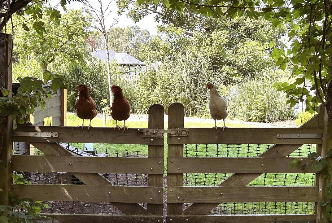 's-Gravenbroekseweg 35 image thumbs 1