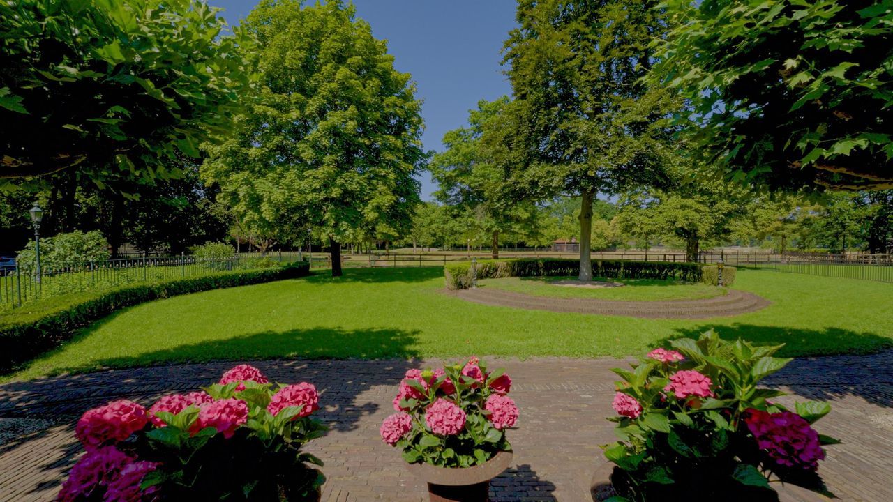 Pepereind 20 a image thumbs 1