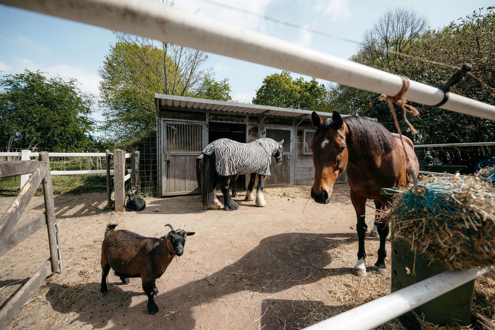 Drieëndijk 3 image 1