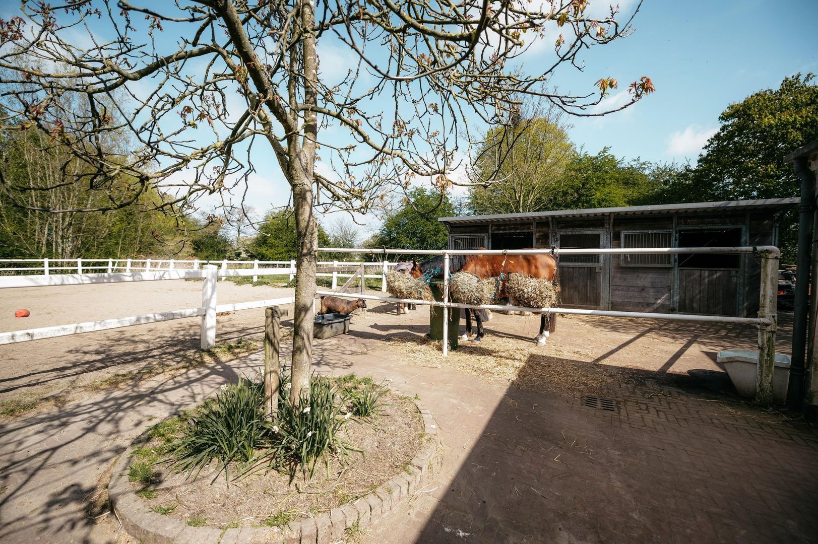 Drieëndijk 3 image 1