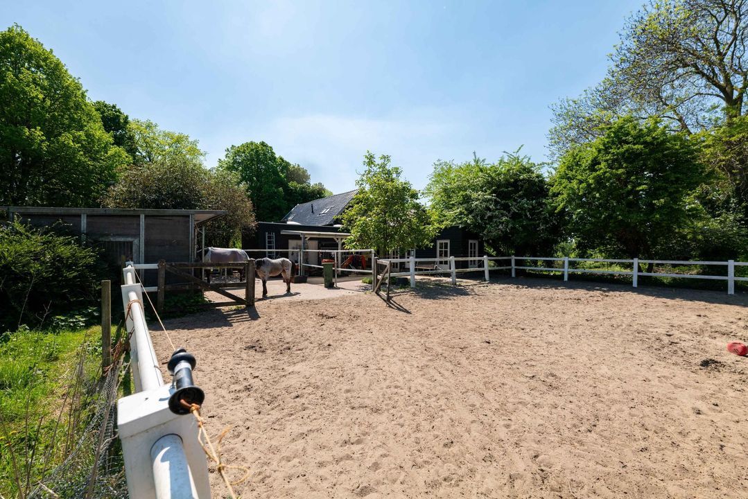 Drieëndijk 3 image thumbs 1