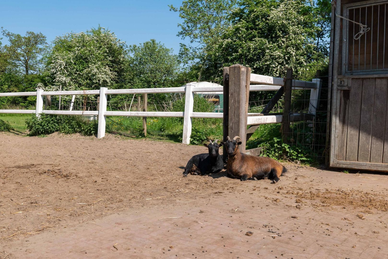 Drieëndijk 3 image 1