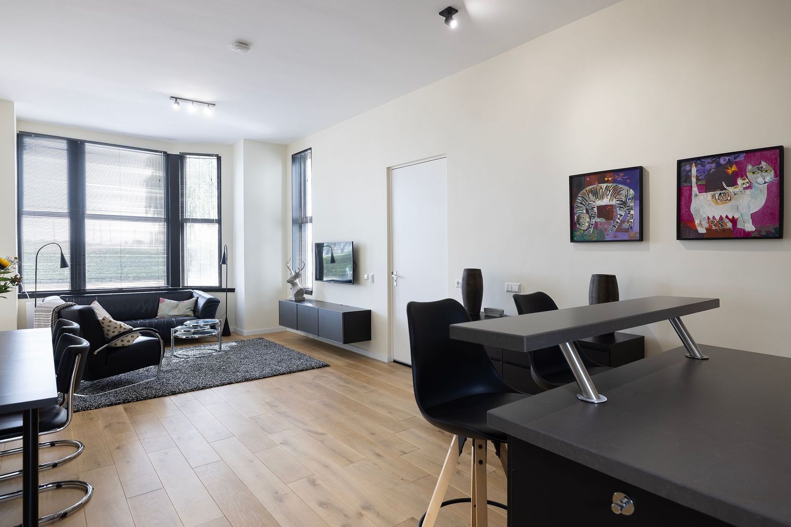 Kralingse Plaslaan 99 image 1