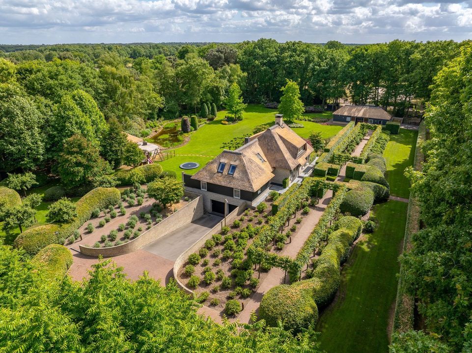 Zoeksestraat 19, Schijf