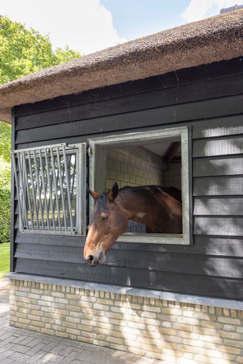 Zoeksestraat 19 image thumbs 1