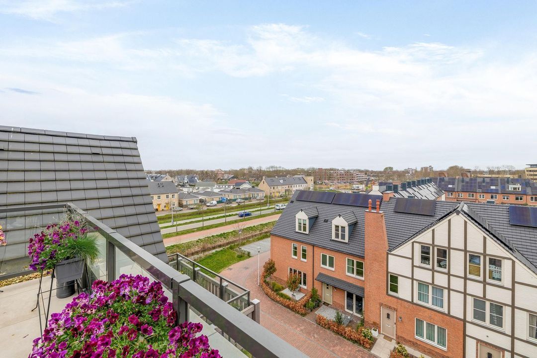 Rozet 45 image thumbs 1