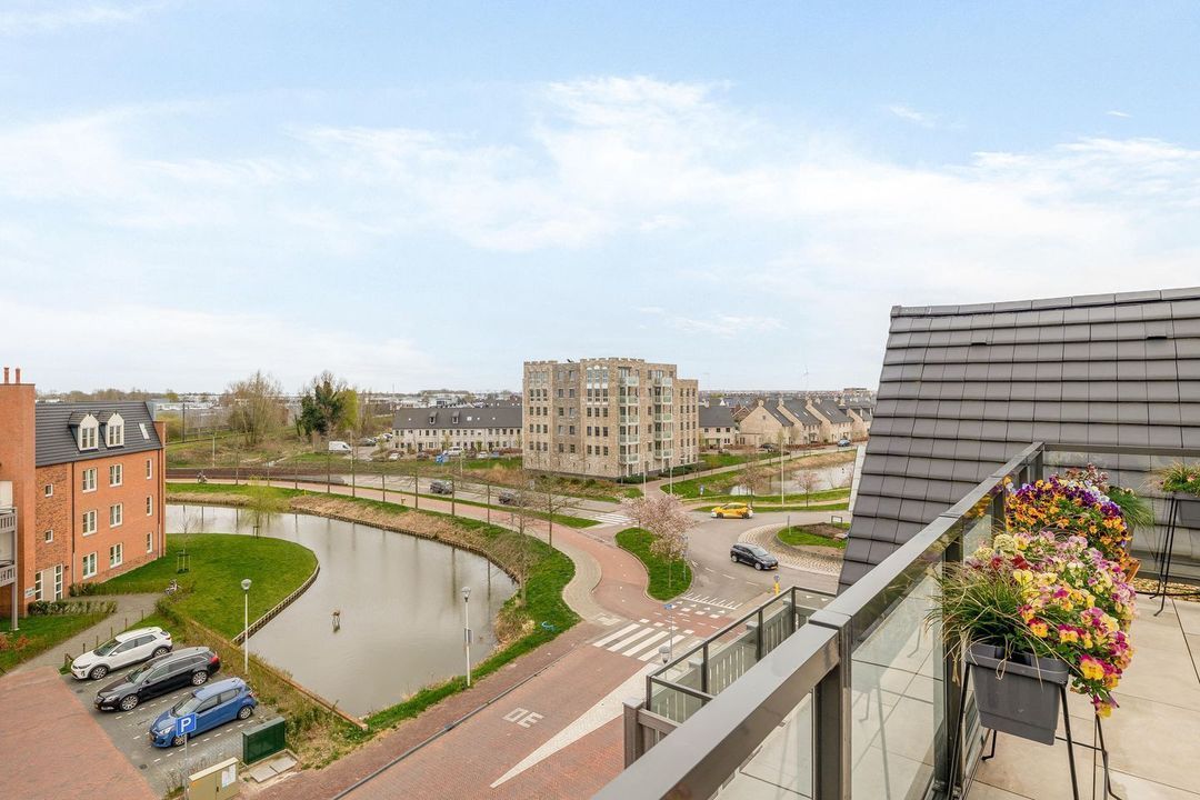 Rozet 45 image thumbs 1