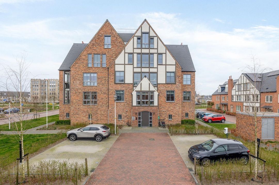 Rozet 45 image thumbs 1