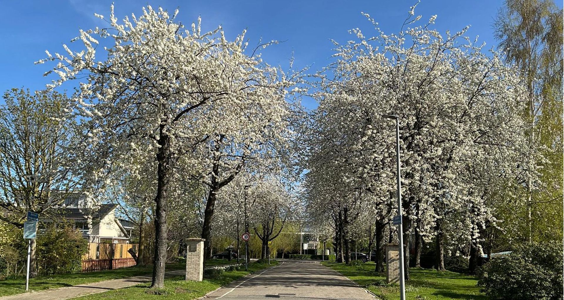 Johannes Voorhoevestraat 54 image 1