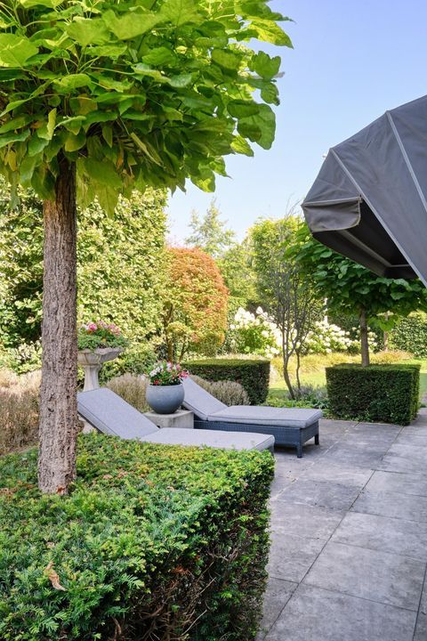 Windsorhof 3 image thumbs 1