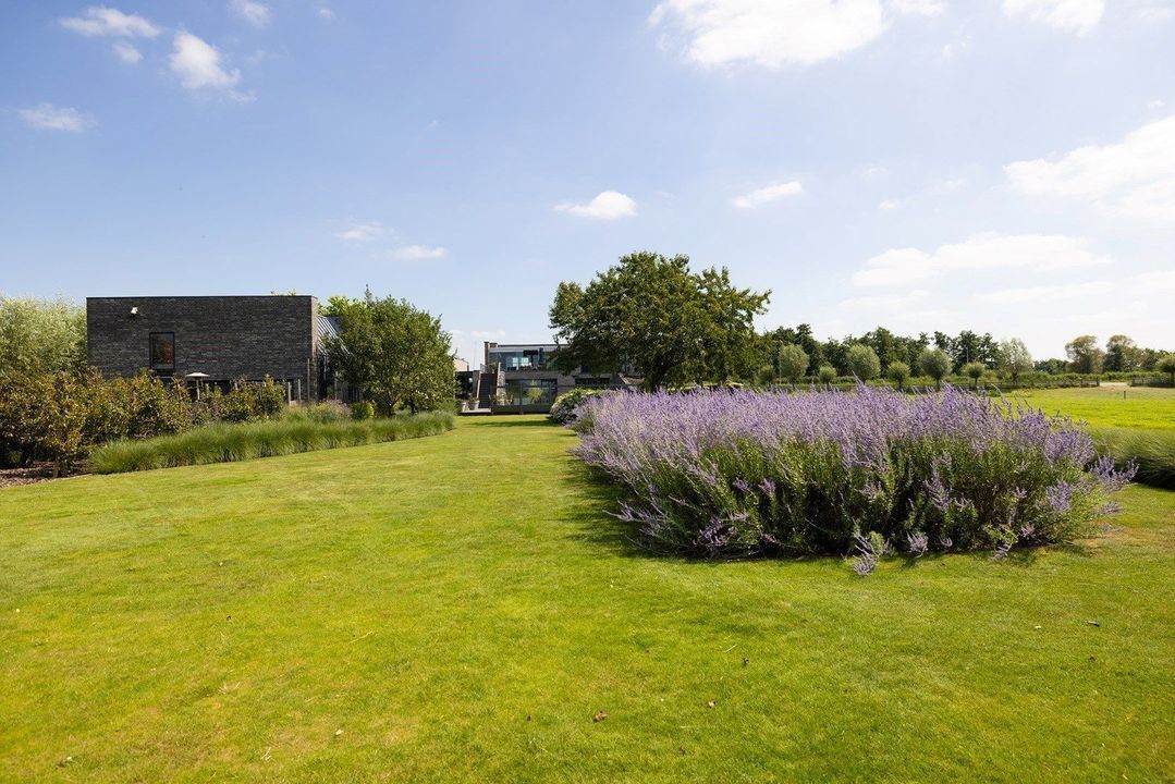 Zuidbuurtseweg 1 image thumbs 1