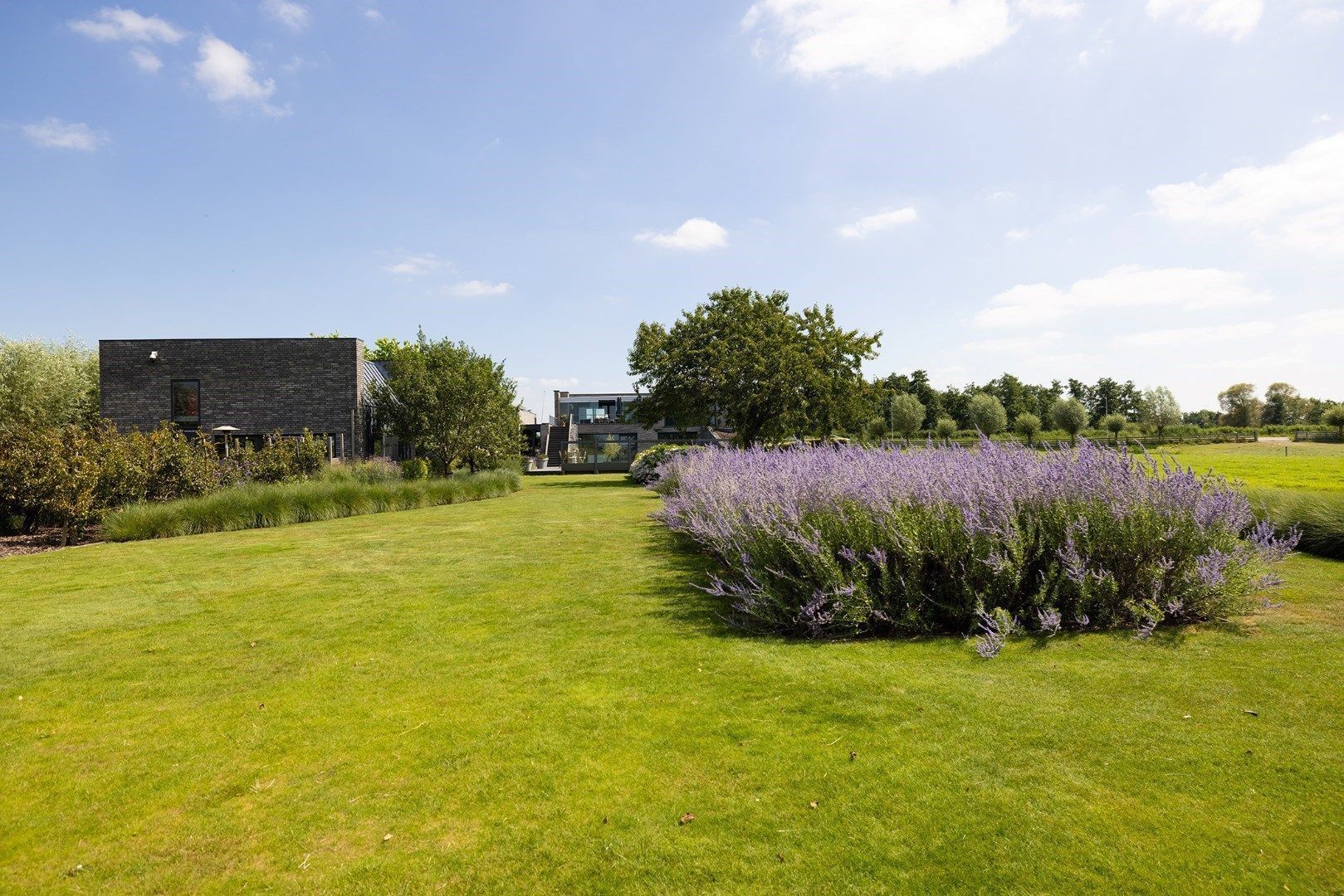 Zuidbuurtseweg 1 image 1