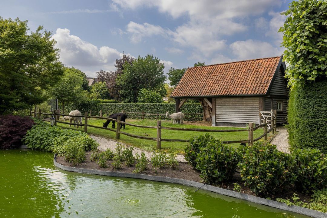 Dorpsstraat 55 image thumbs 1