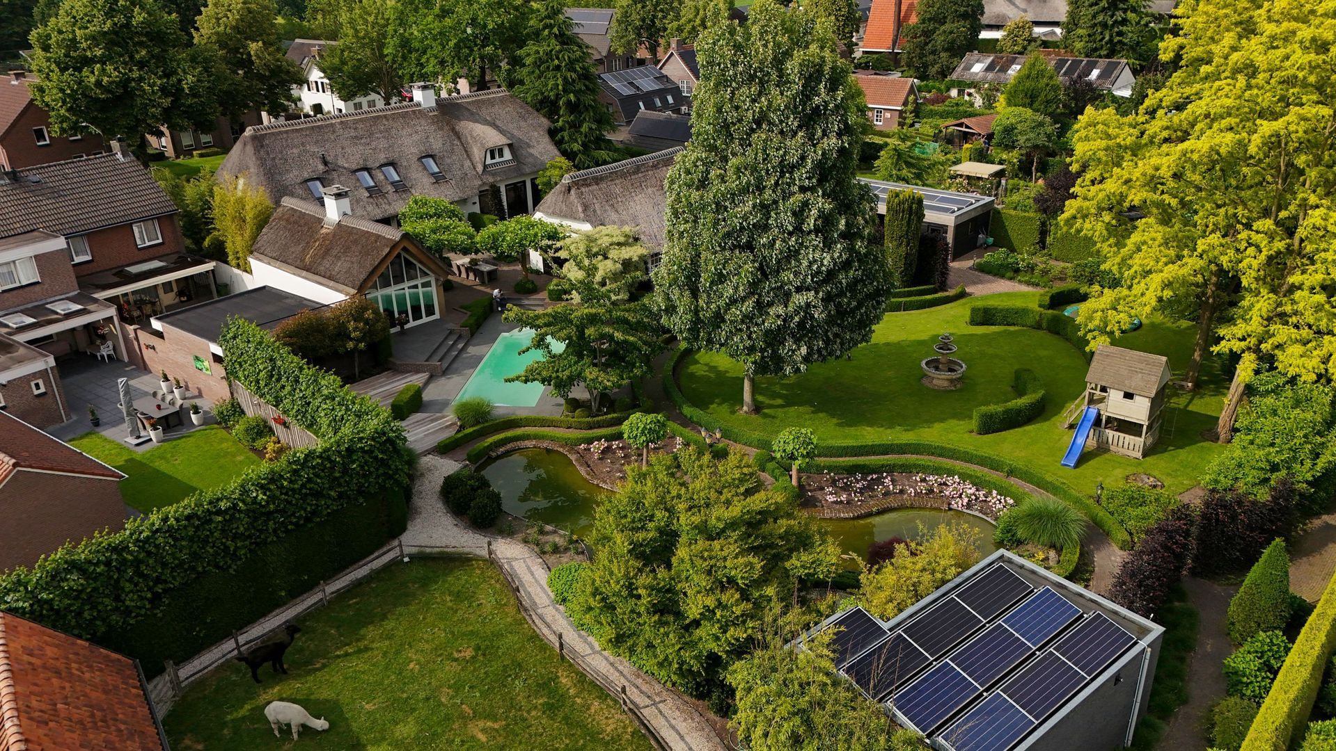 Dorpsstraat 55 image 1