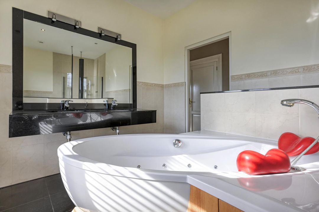 Steenhof 4 image thumbs 1