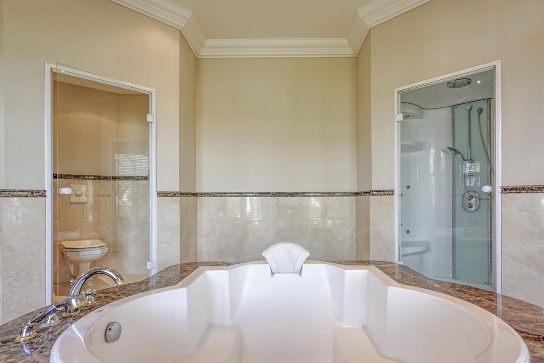 Steenhof 4 image thumbs 1