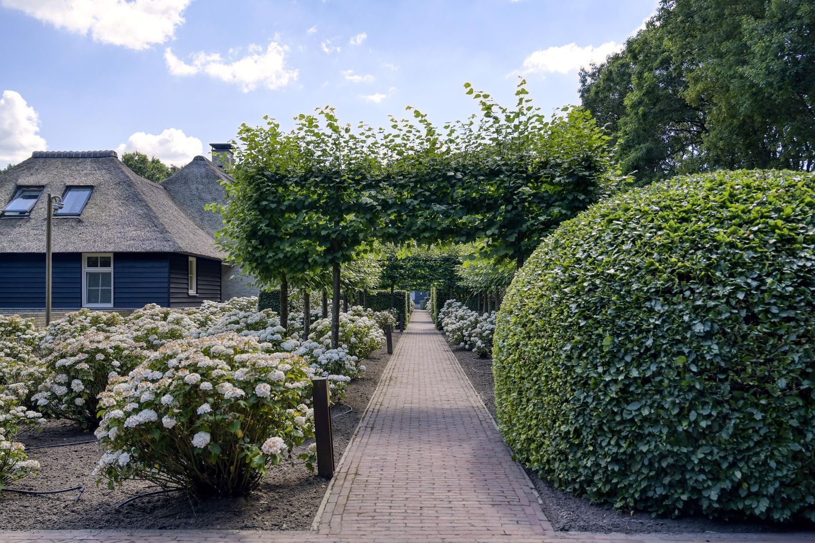 Zoeksestraat 19 image 1