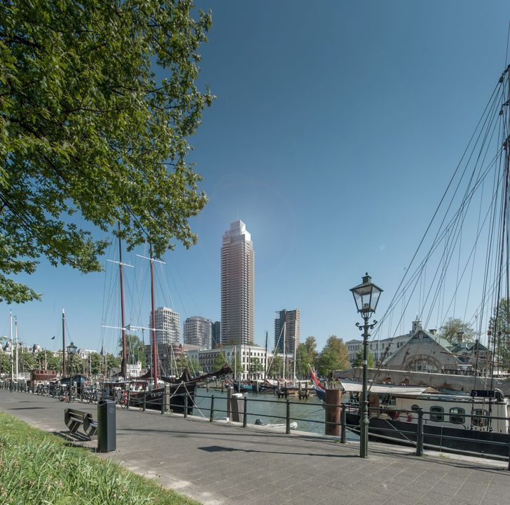 Houtlaan 317, Rotterdam