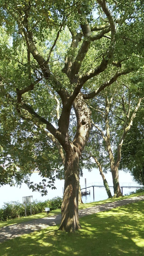Puntweg 7 image 1