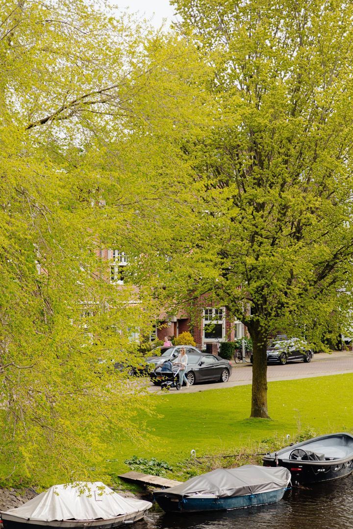 Dijsselhofplantsoen 12 image 1