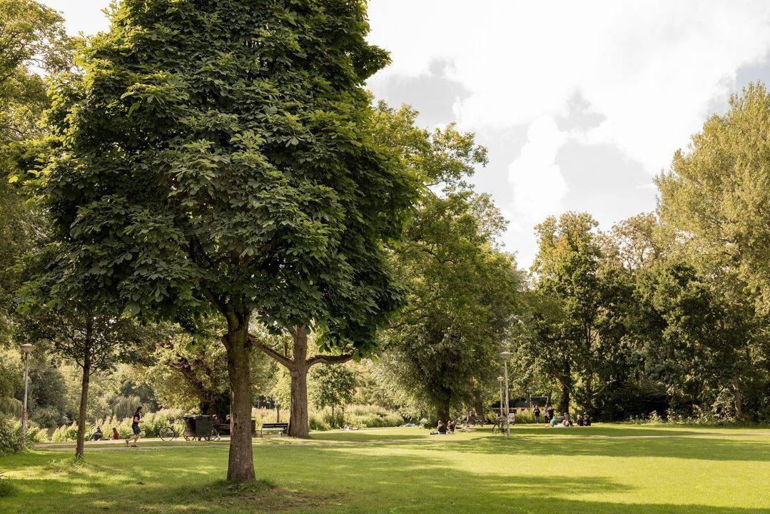 Johannes Verhulststraat 193 3 image thumbs 1