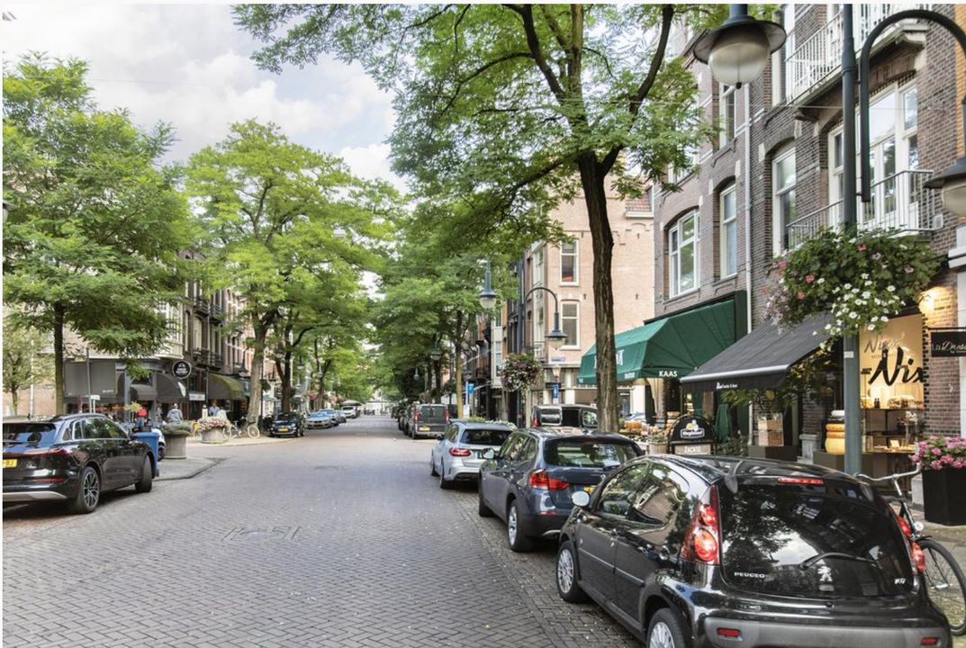 Johannes Verhulststraat 193 3 image thumbs 1