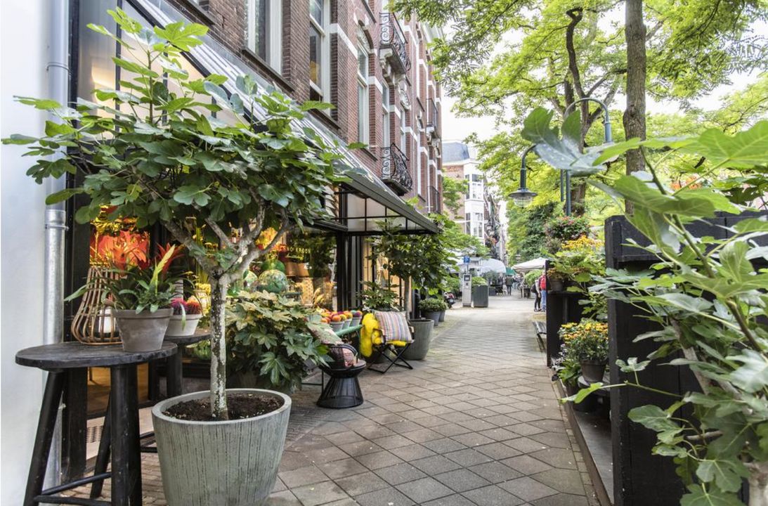 Johannes Verhulststraat 193 3 image thumbs 1