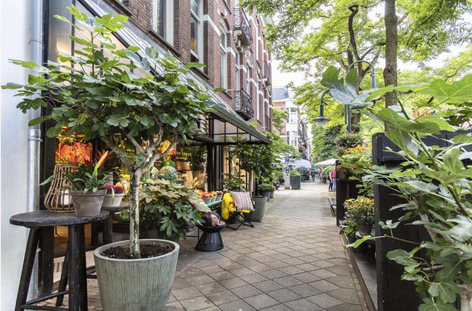 Johannes Verhulststraat 193 3 image 1