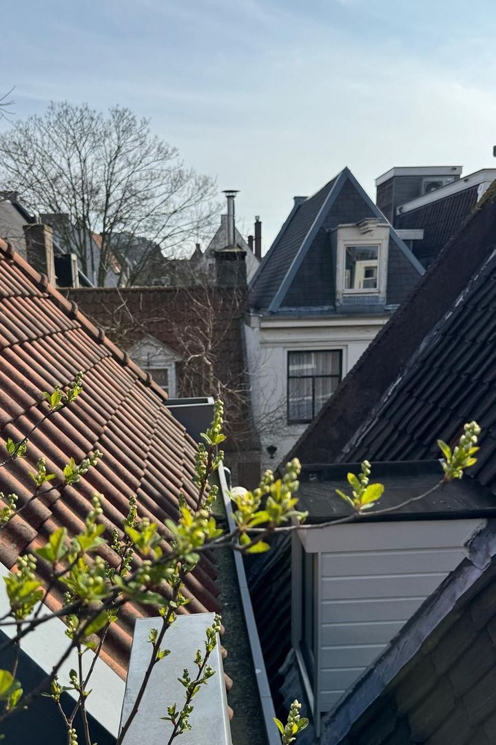 Utrechtsedwarsstraat 149 image 1