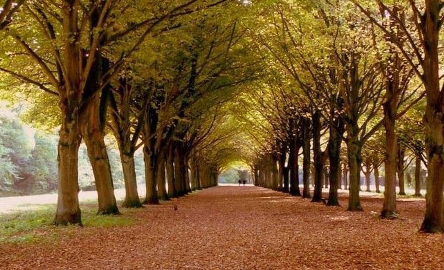 Gustav Mahlerplein 285 image 1