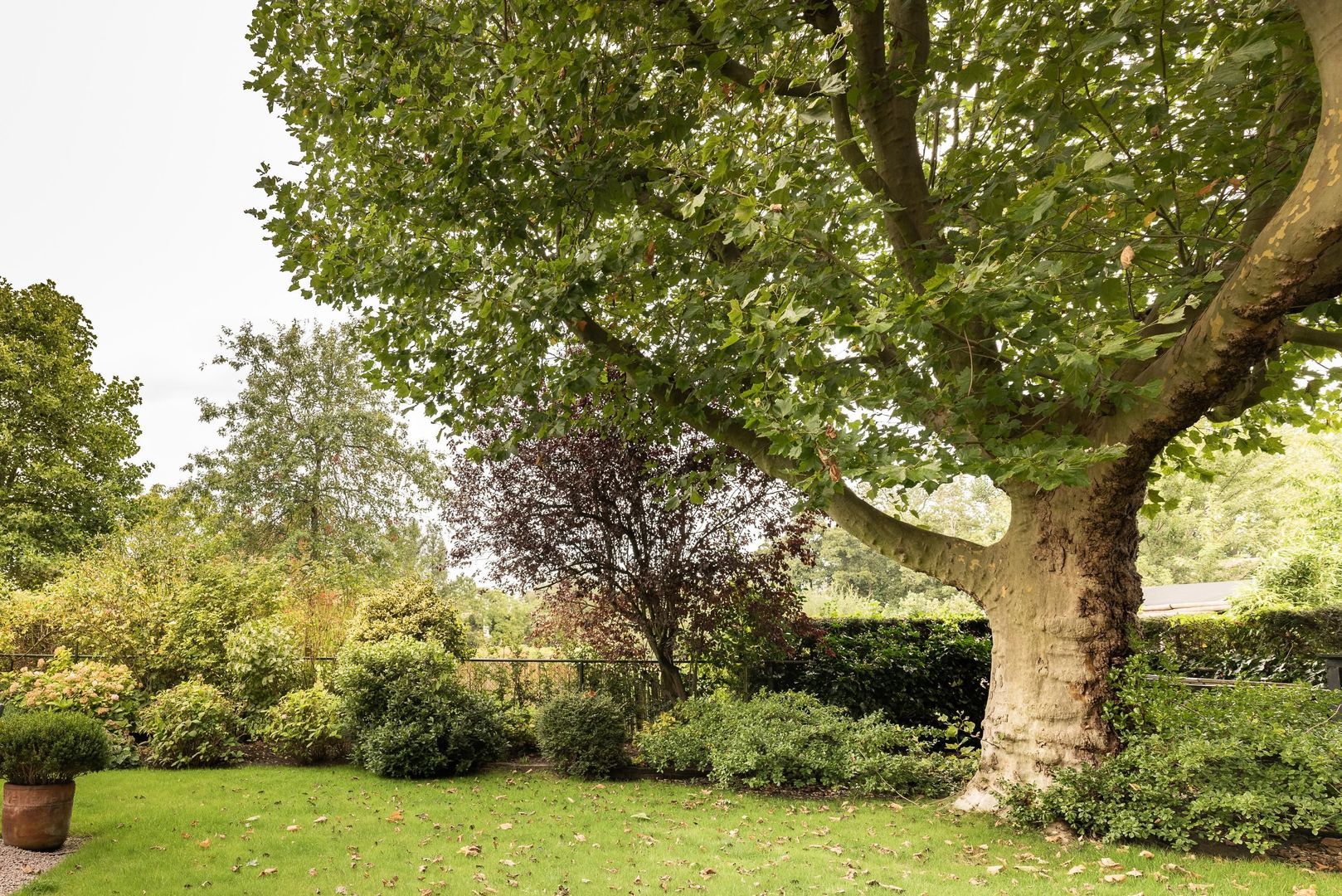 Amsteldijk Noord 104 B image 1