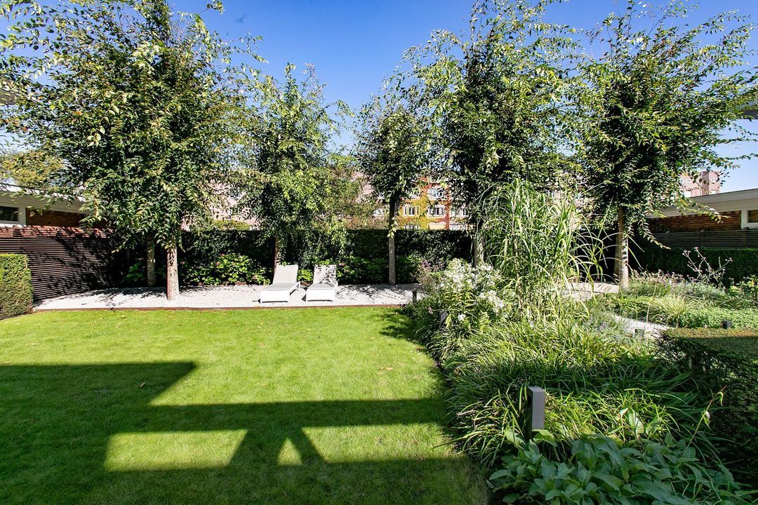 Apollolaan image thumbs 1