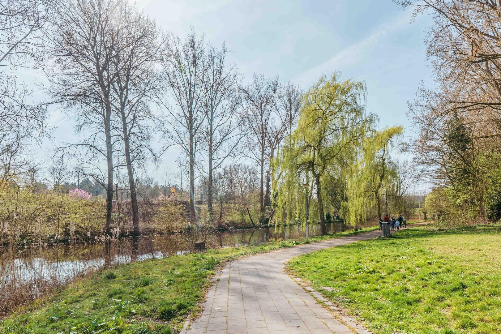 Gaasterlandstraat 228 image 1