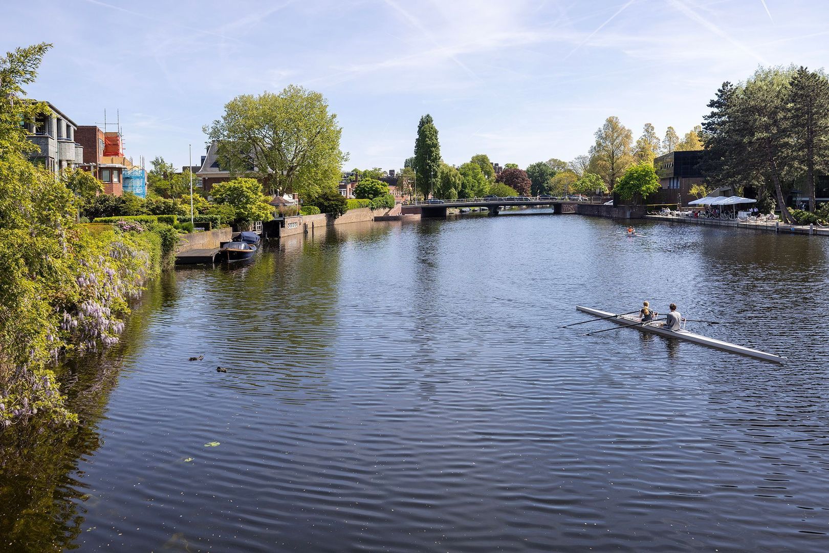 J.J. Viottastraat 46 image 1