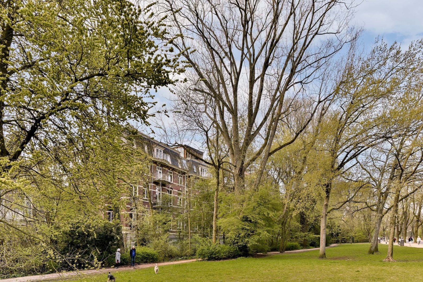 Van Eeghenstraat 206 image 1