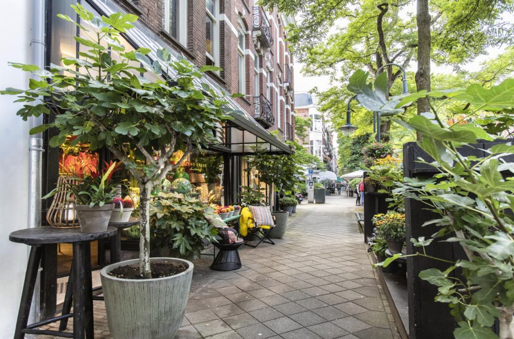 Surinameplein 10 H image 1