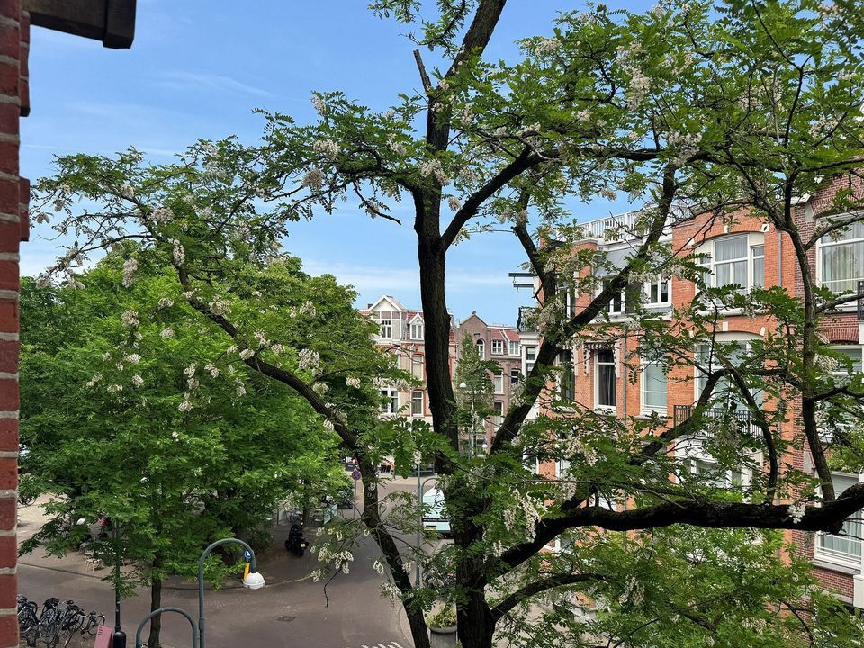 De Lairessestraat 96 2R image thumbs 1
