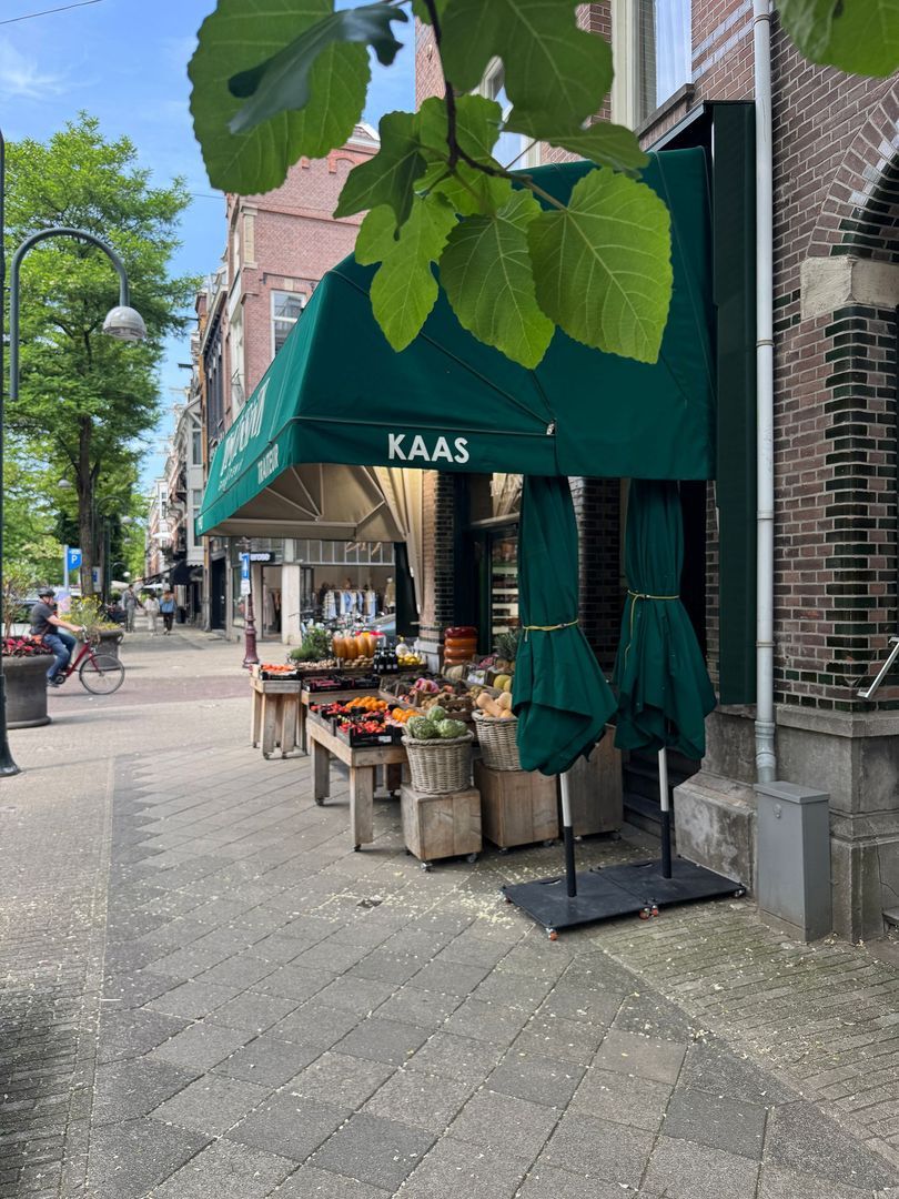 De Lairessestraat 96 2R image 1